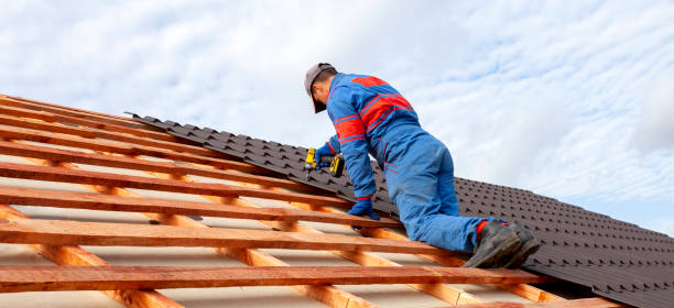 Best Sheet Metal Roofing  in Northwoods, MO